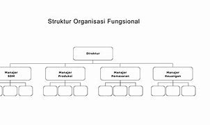 Contoh Gambar Struktur Organisasi Fungsional